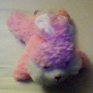 Stuffed Pink Bunny